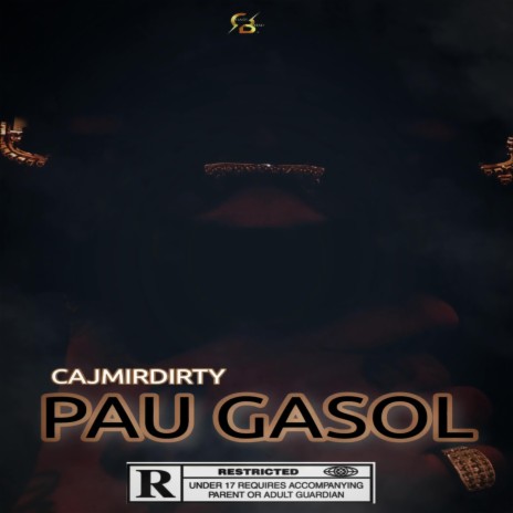 Pau Gàsol | Boomplay Music