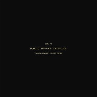 Public Service (Interlude) lyrics | Boomplay Music