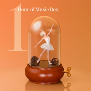 1 Hour of Music Box: Slow Music for Relax, Study, Work & Sleep