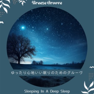 ゆったり心地いい眠りのためのグルーヴ - Sleeping In A Deep Sleep