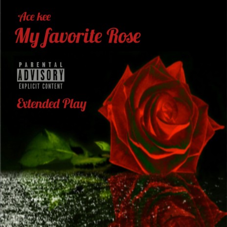 My Favorite Rose