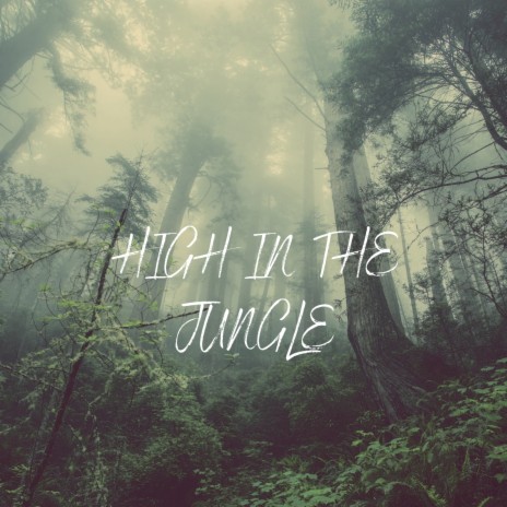 High In The Jungle