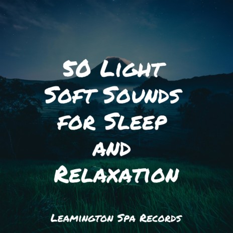 Relax Yourself to Sleep | Boomplay Music