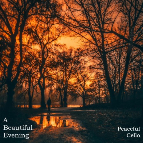 A Beautiful Evening | Boomplay Music