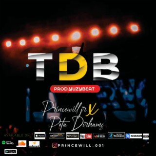 TDB ft. Princewill jr lyrics | Boomplay Music