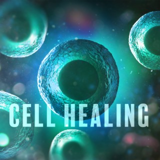 Cell Healing: DNA Repair Frequency