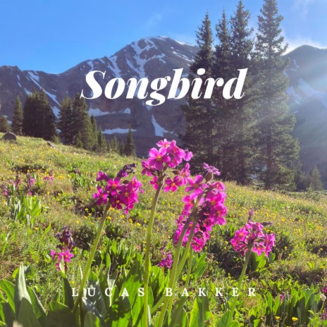 Songbird | Boomplay Music