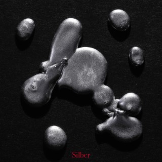 Silber lyrics | Boomplay Music