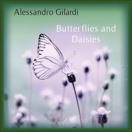 Butterflies And Daisies