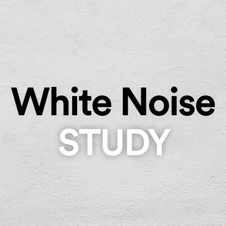 White Noise Study