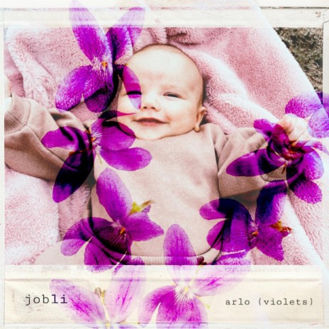 Arlo (Violets) | Boomplay Music