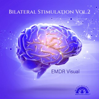 Bilateral Stimulation Vol.2: EMDR Visual, Release Anxiety & Stress