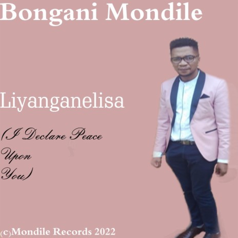 Liyanganelisa | Boomplay Music