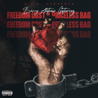 Freedom Cost A Priceless Bag