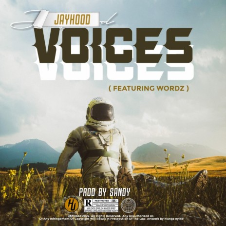 Voices ft. Wordz | Boomplay Music