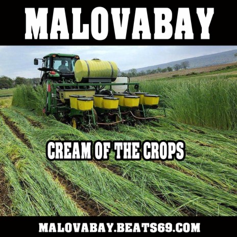 Cream Of The Crops | Boomplay Music