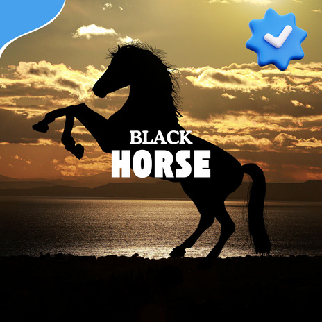 Black Horse | Boomplay Music