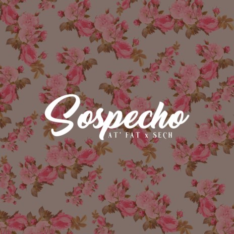 Sospecho ft. Sech | Boomplay Music