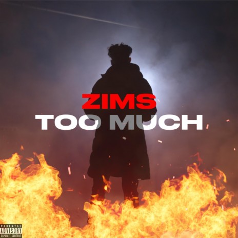 Too Much | Boomplay Music