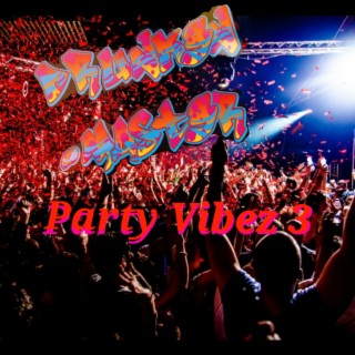 Party Vibez 3