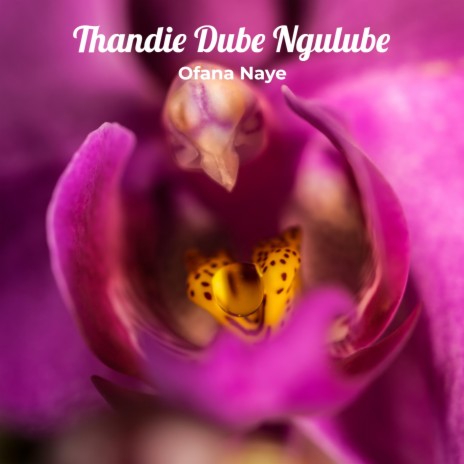 Thandie Dube Ngulube | Boomplay Music