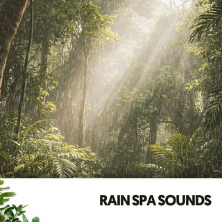 Rain Spa Sounds: Serenity in Every Drop