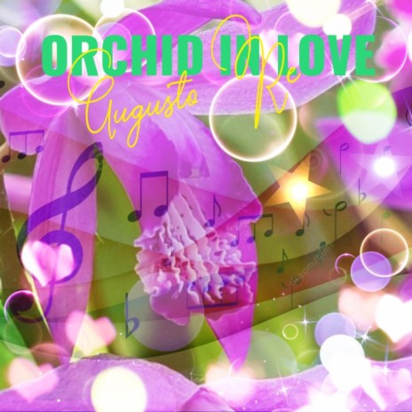 Orchid in love | Boomplay Music