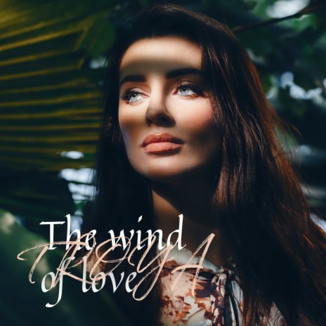 The Wind of Love | Boomplay Music
