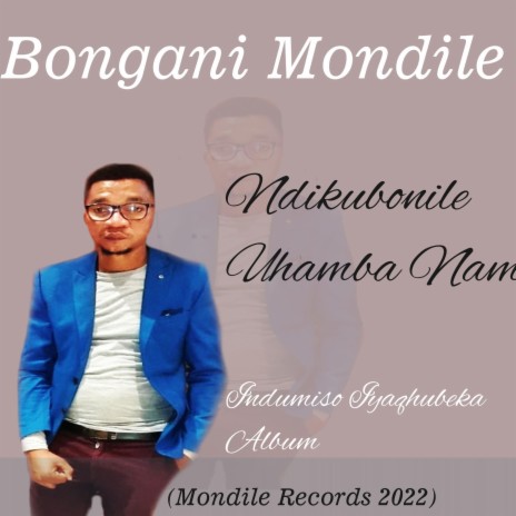 Ndikubonile Uhamba Nami | Boomplay Music