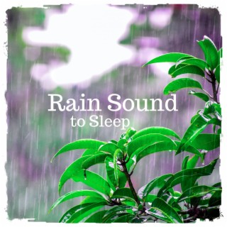 Rain Sound to Sleep