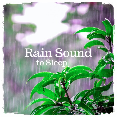 Rain Sound to Sleep, Pt. 10