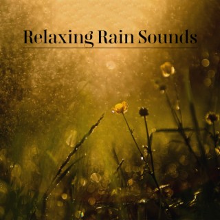 Relaxing Rain Sounds: Calming Water, Rainfall, Warming Rain Sounds