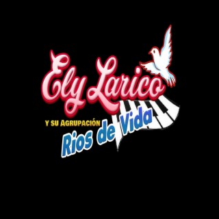 Ely Larico