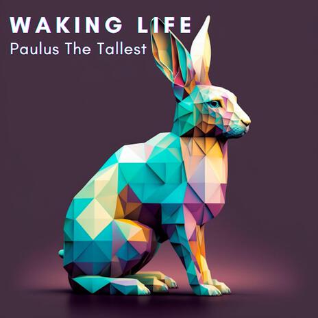 Waking Life | Boomplay Music