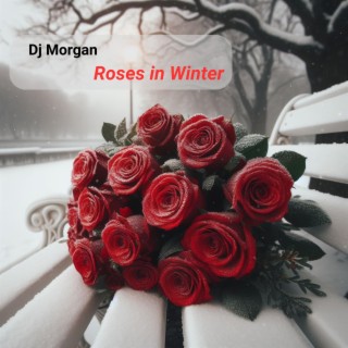 Roses in Winter