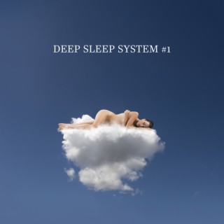 Deep Sleep System #1