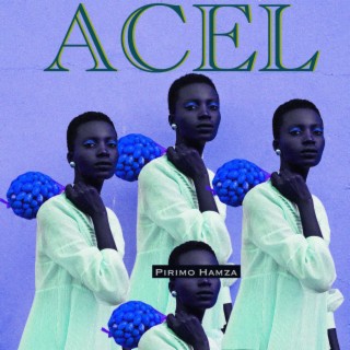 Acel