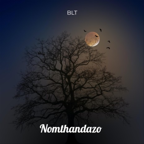 Nomthandazo | Boomplay Music