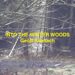Into the winter woods