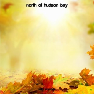 North of Hudson Bay