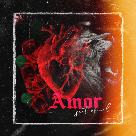 Amor | Boomplay Music