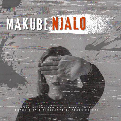 Makube Njalo ft. Bra Twist, Crazy-B SA, Ribskaay & Dj Peace Dikota | Boomplay Music