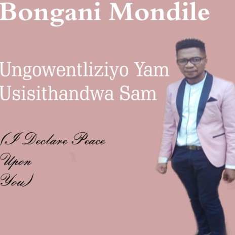 Ungowentliziyo Yam Usisithandwa Sam (I Declare Peace Upon You) | Boomplay Music