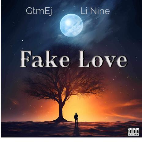 Fake love ft. Li Nine | Boomplay Music