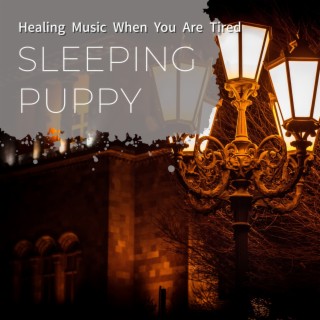 Healing Music When You Are Tired
