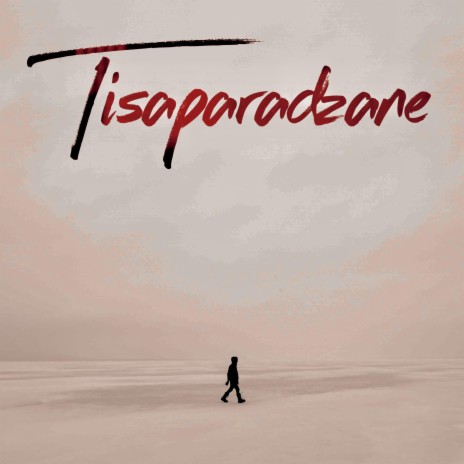 Tisaparadzane | Boomplay Music
