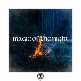 Magic of the Night