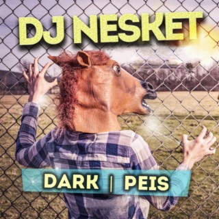 DARK / PEIS (Radio Edit)