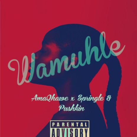 Wamuhle ft. Springle & Phushkin | Boomplay Music