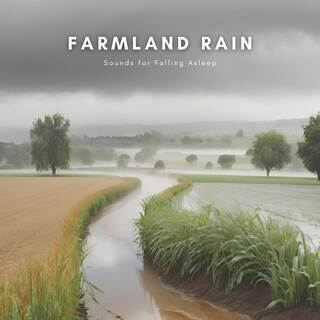 Farmland Rain Sound for Falling Asleep